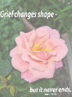 Beyond the Window of&nbsp;Pain